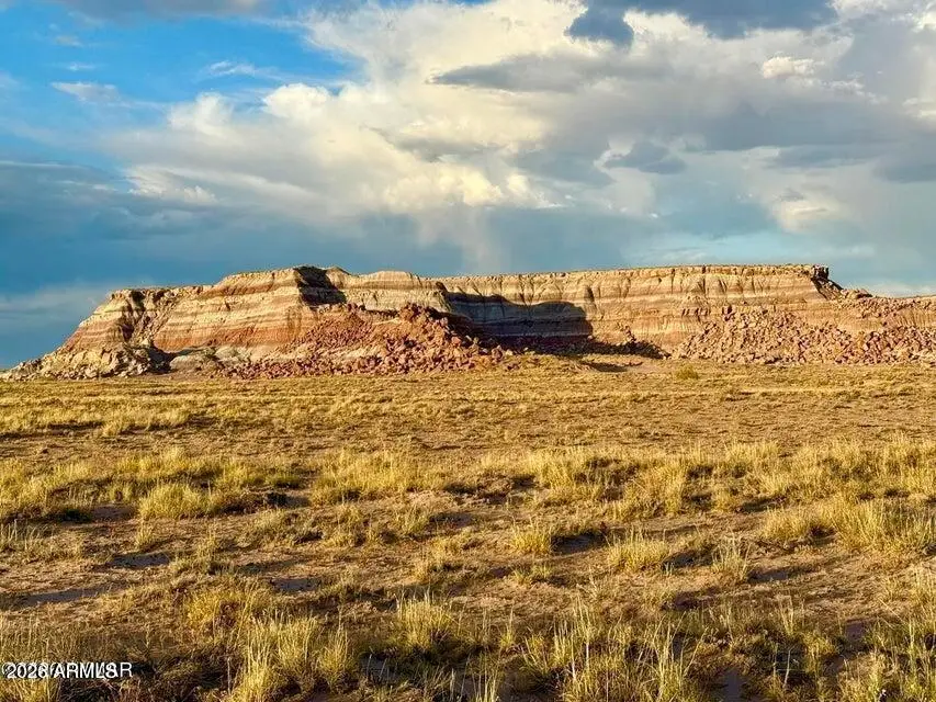 8983 Down Under Rd 38.82 Acres --, Holbrook, AZ 86025 - #2