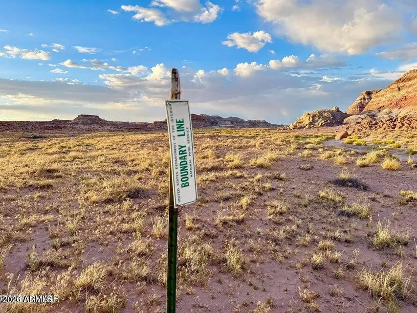 8983 Down Under Rd 38.82 Acres --, Holbrook, AZ 86025 - #3
