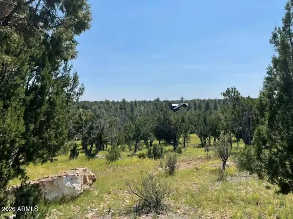 4367 Sunset Ridge Loop #178, Happy Jack, AZ 86024