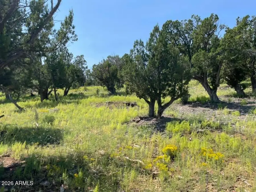 4367 Sunset Ridge Loop #178, Happy Jack, AZ 86024 - #2