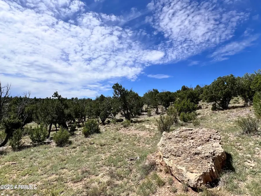 4367 Sunset Ridge Loop #178, Happy Jack, AZ 86024 - #3