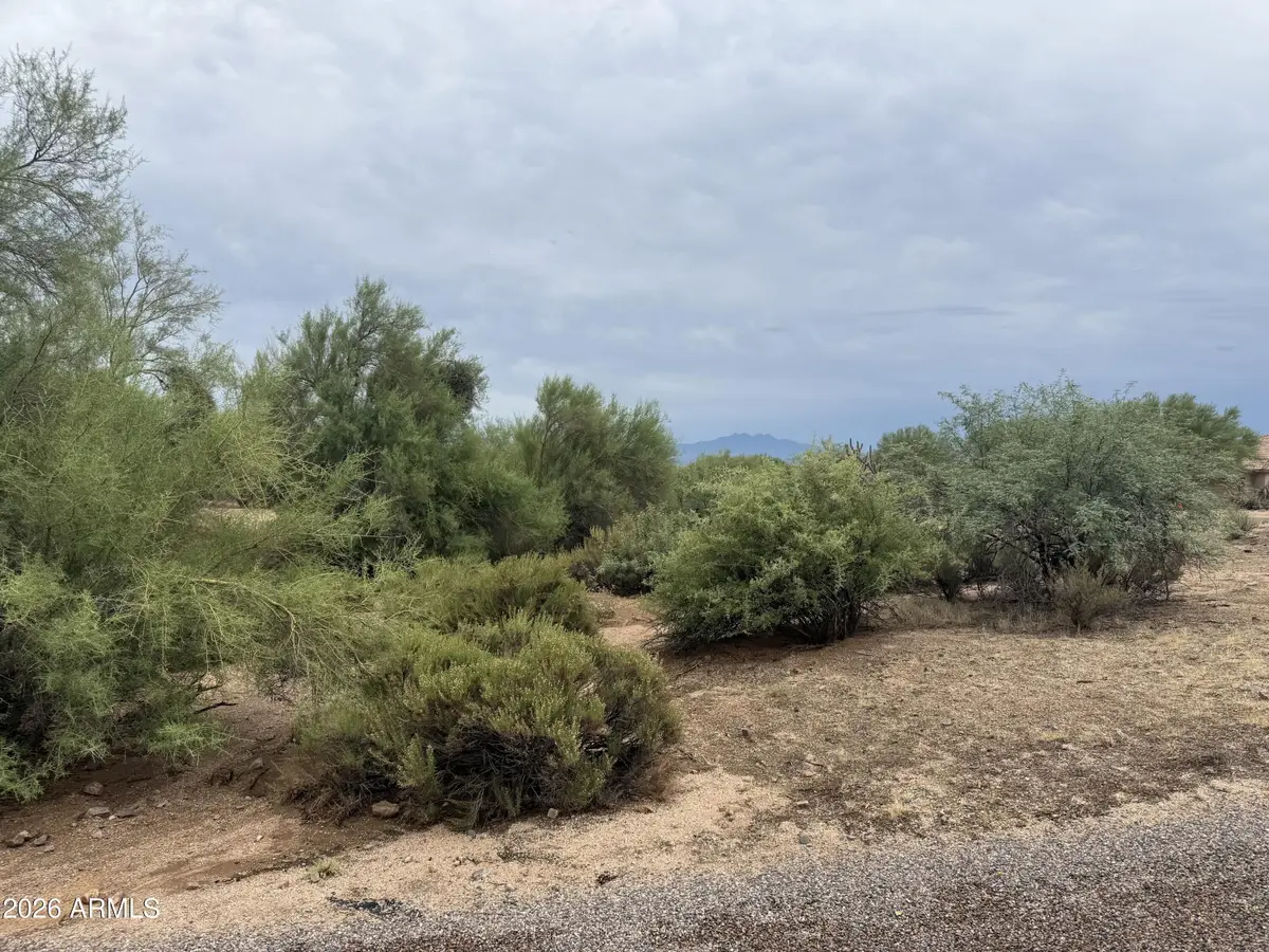 29609 N 138th Place, Scottsdale, AZ 85262 - #1
