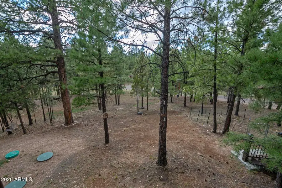 3139 W Hopi Drive, Happy Jack, AZ 86024 - #2