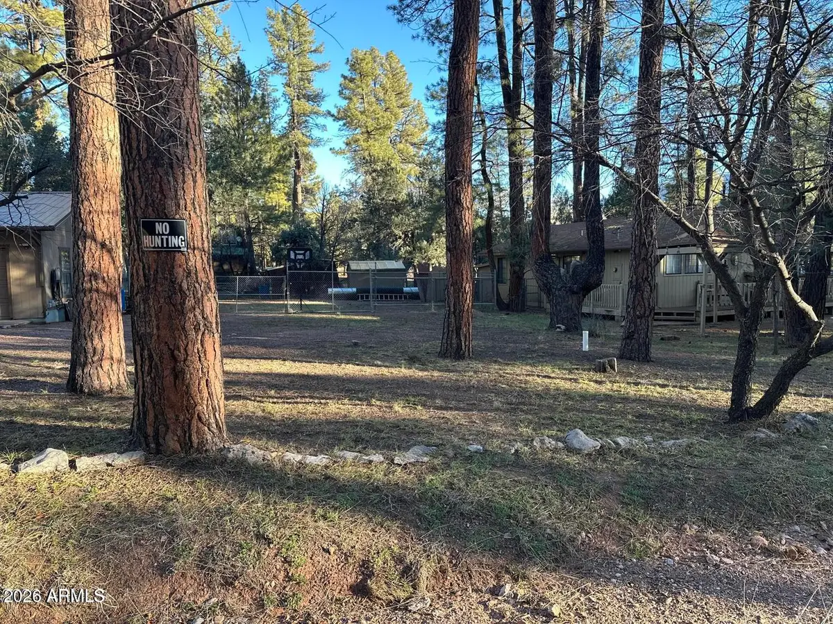 6384 W Jan Drive, Pine, AZ 85544 - #1