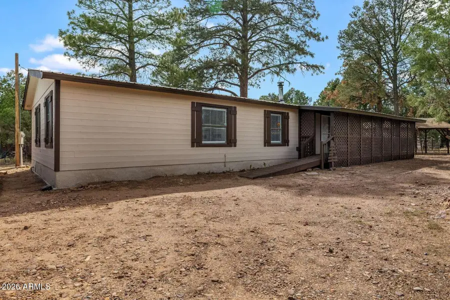 3520 Buckskin Road, Overgaard, AZ 85933 - #3