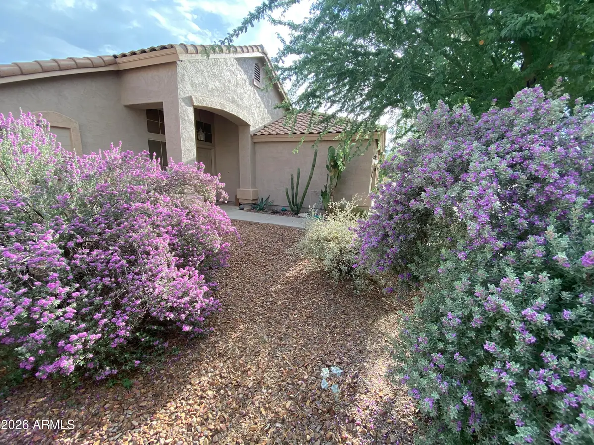 147 E Palo Blanco Way, Gilbert, AZ 85296 - #1