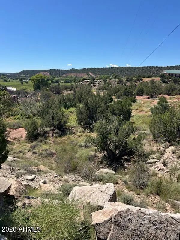 2682 Old School House Road, Show Low, AZ 85901 - #1