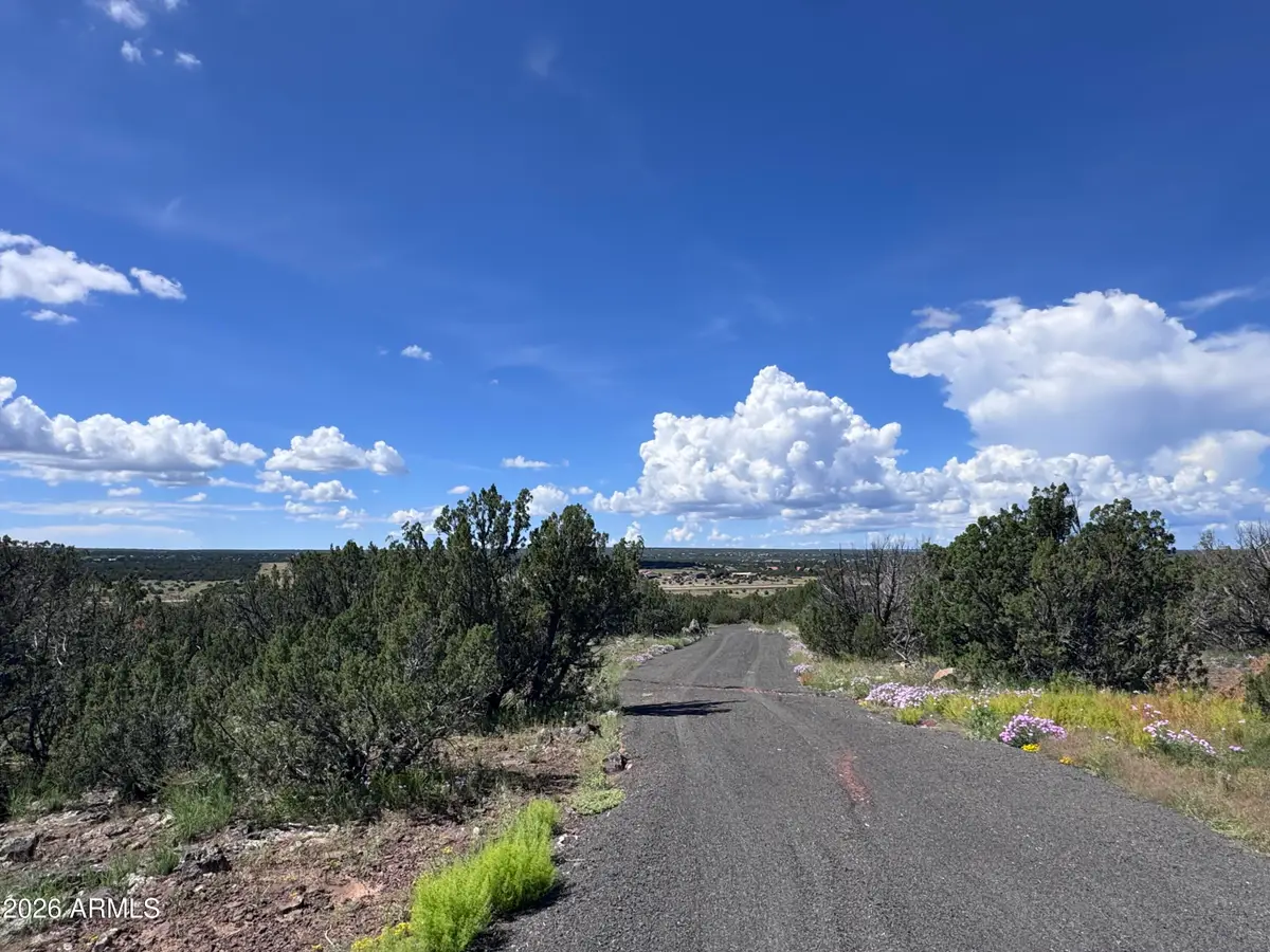 1939 Bourdon Ranch Road, Show Low, AZ 85901 - #1