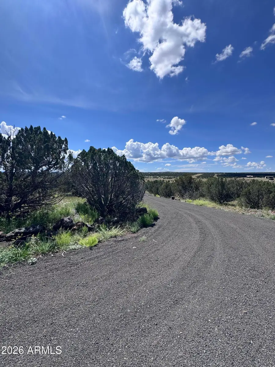 1939 Bourdon Ranch Road, Show Low, AZ 85901 - #2