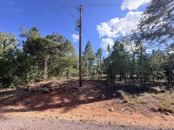 5808 Pine Needle Drive #225, Happy Jack, AZ 86024