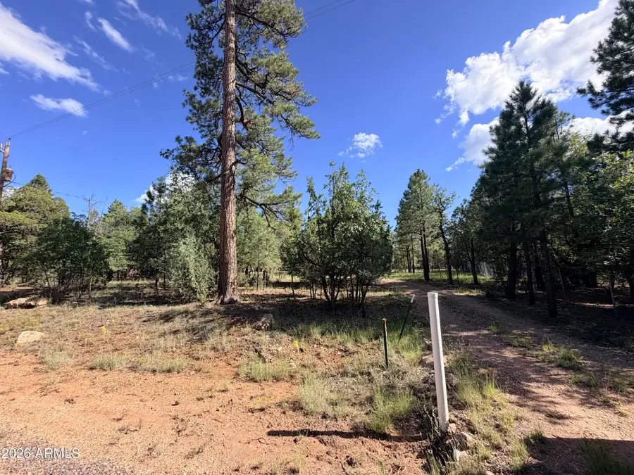 5808 Pine Needle Drive #225, Happy Jack, AZ 86024 - #2