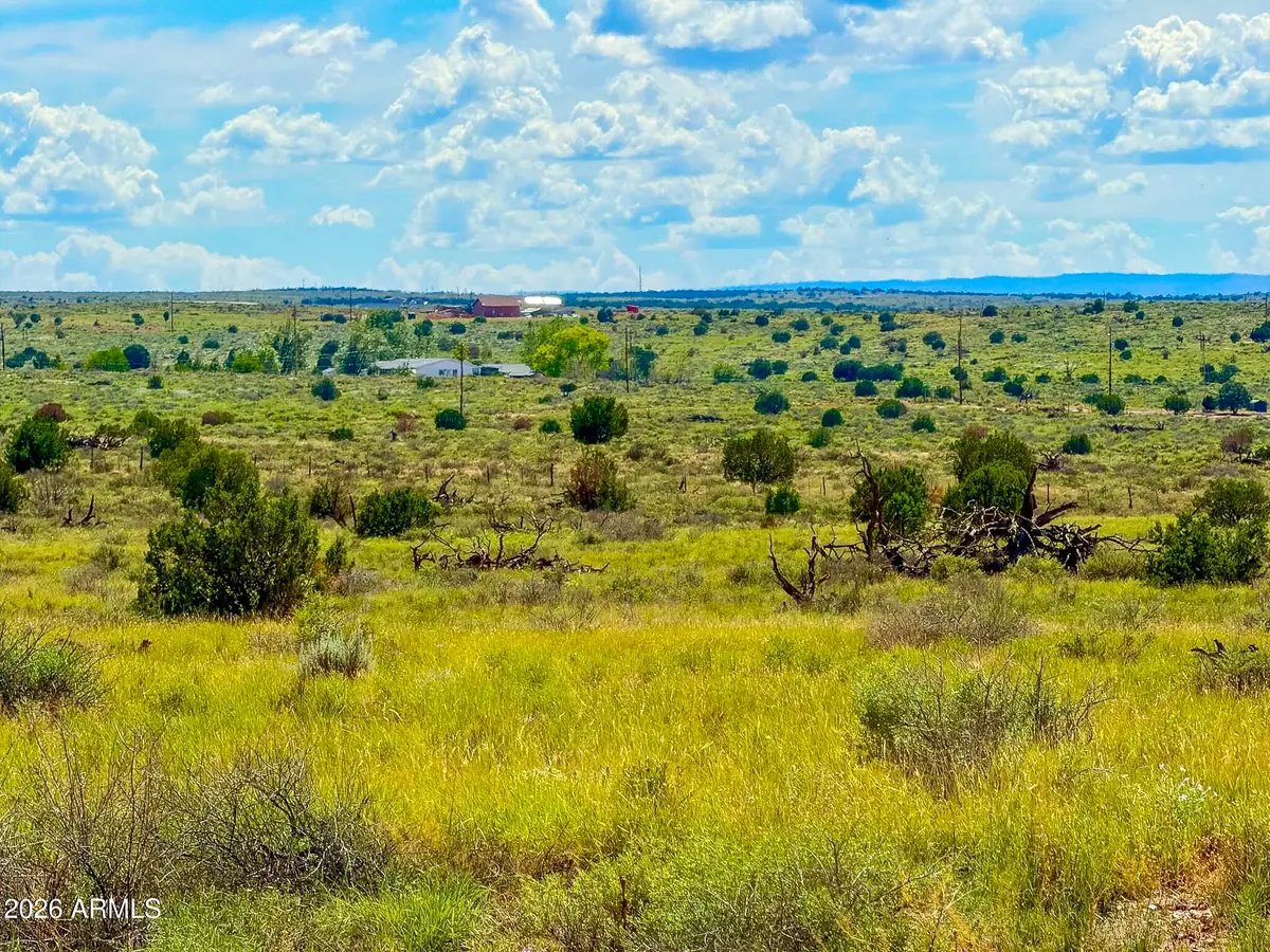 0 Hay Hollow Rd 20 Acres --, Snowflake, AZ 85937 - #1
