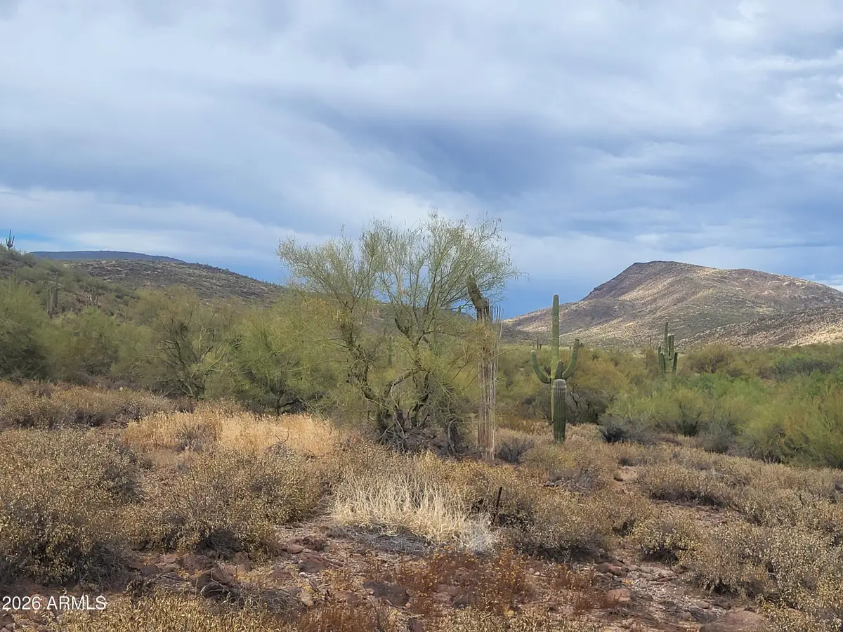 440XX N 24th Street N, New River, AZ 85087 - #1