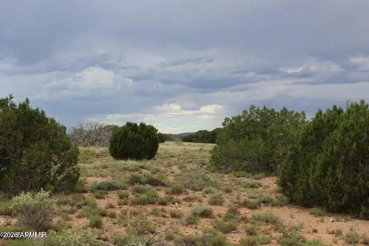 5705 Lindsey Lane #83, Heber, AZ 85928 - #1