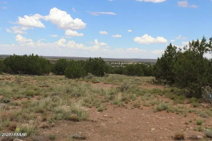 5705 Lindsey Lane #83, Heber, AZ 85928 - #2