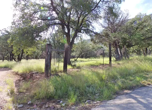 0 E Ramsey Canyon Road, Hereford, AZ 85615