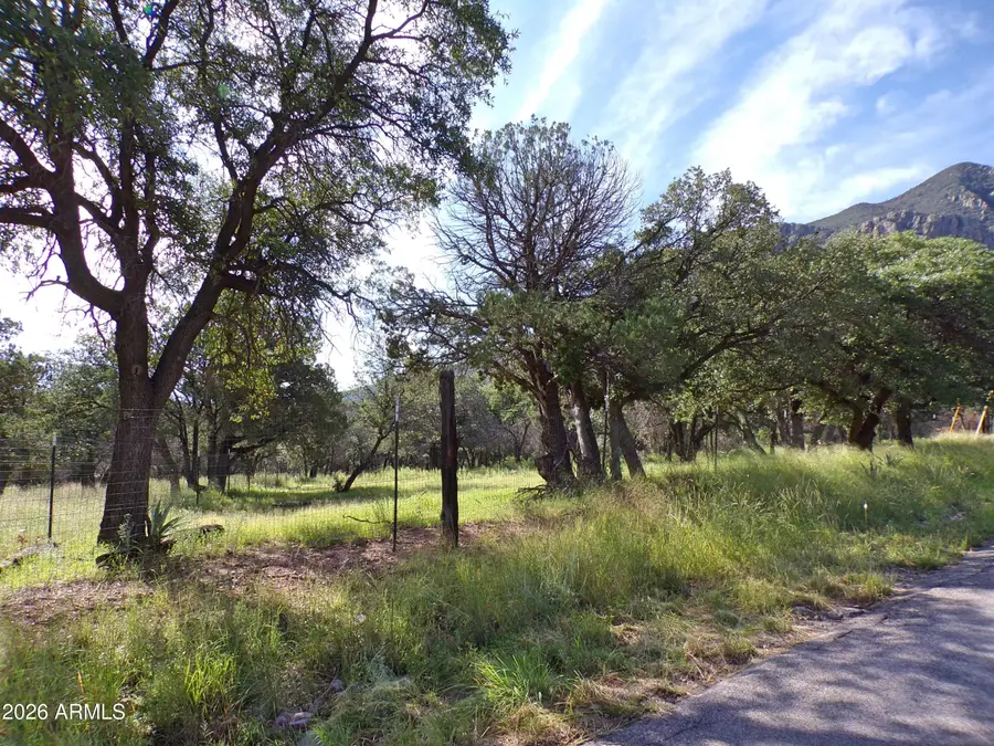 0 E Ramsey Canyon Road, Hereford, AZ 85615 - #3