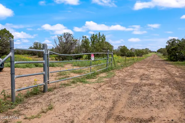 9132 Grant Road #011D, Show Low, AZ 85901