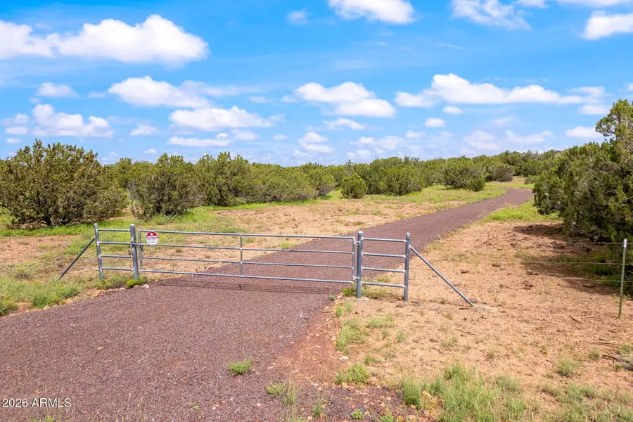9132 Grant Road #011D, Show Low, AZ 85901 - #2