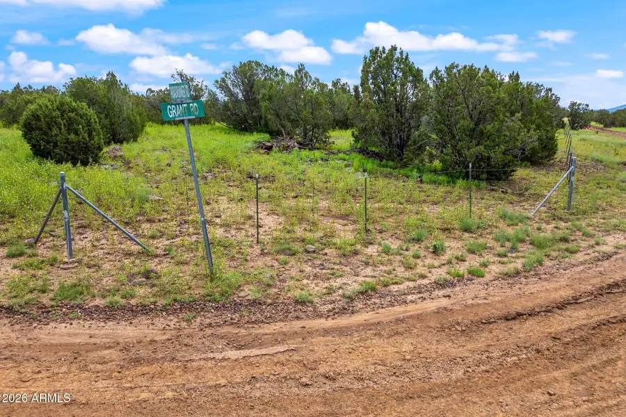 9132 Grant Road #011D, Show Low, AZ 85901 - #3