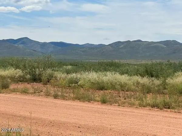 TBD 11145118 -- #44, Elfrida, AZ 85610