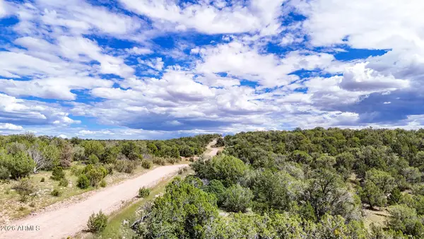 0 W Elkhorn Pass 36 Acres --, Seligman, AZ 86337