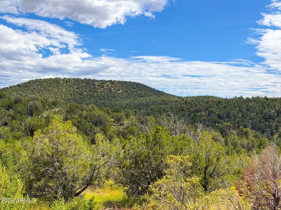 0 W Elkhorn Pass 36 Acres --, Seligman, AZ 86337 - #3