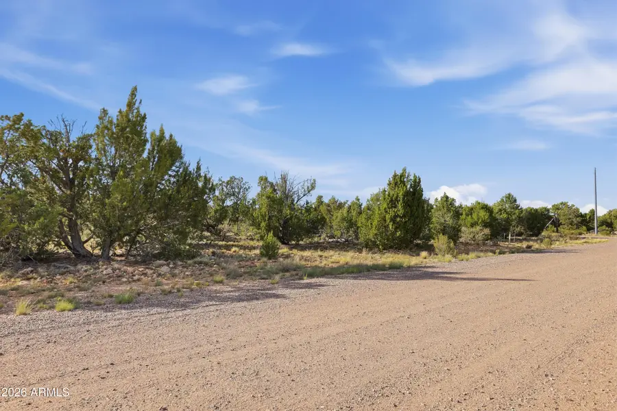 4897 NW Sunset Ridge Loop Loop #184, Happy Jack, AZ 86024 - #3