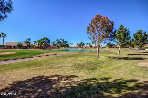 25236 S Flame Tree Drive, Sun Lakes, AZ 85248