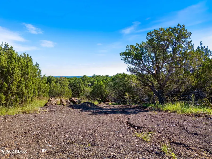 8788 Andrea Place #105, Show Low, AZ 85901 - #2