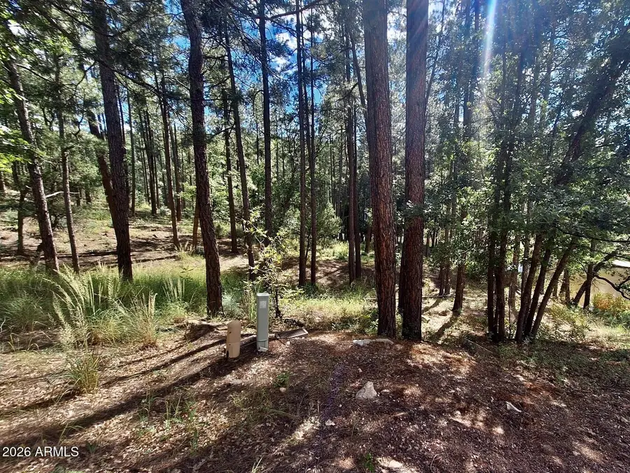 170 E Green Apple Lane #106, Payson, AZ 85541 - #2
