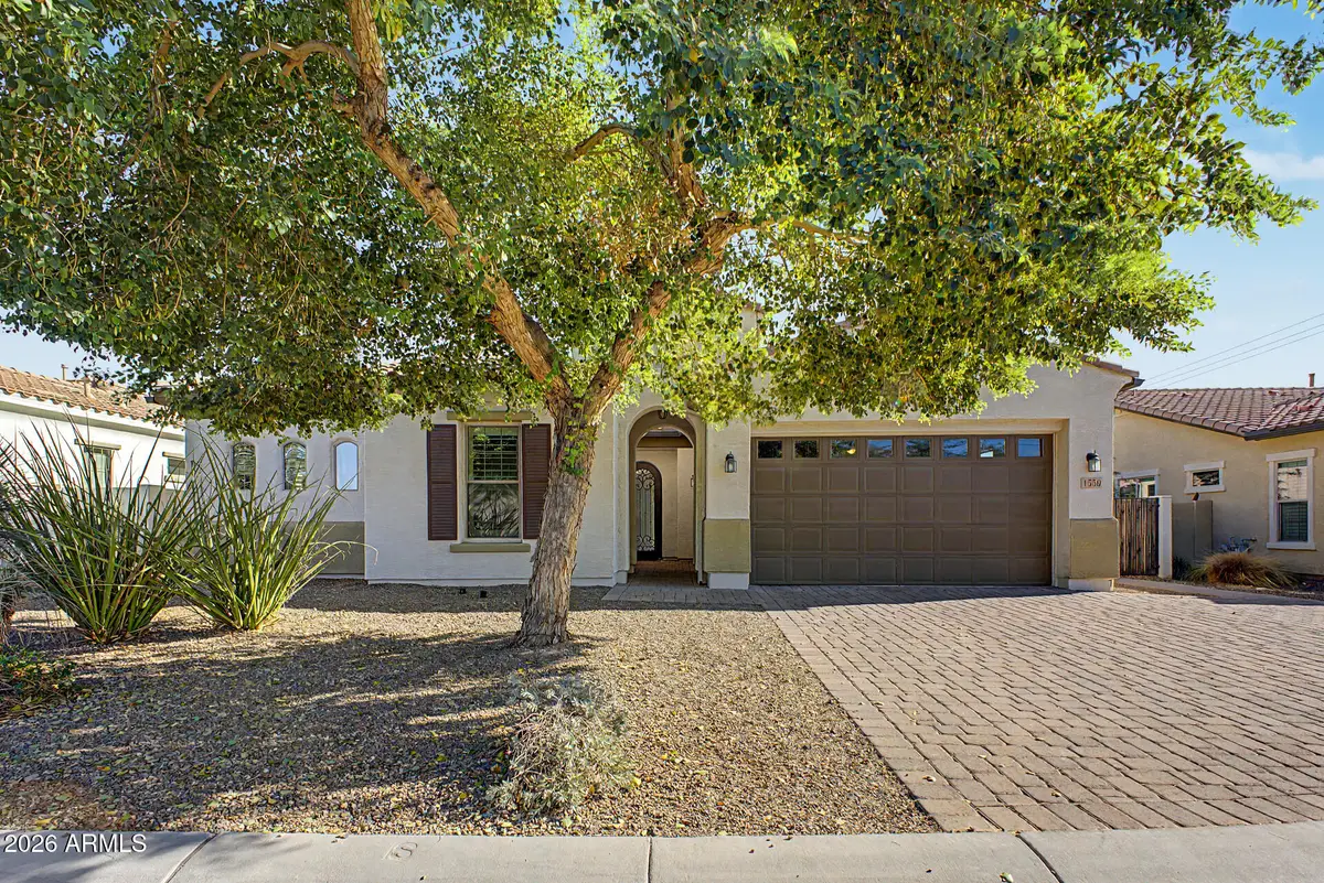 1559 W Sea Fog Drive, Gilbert, AZ 85233 - #1