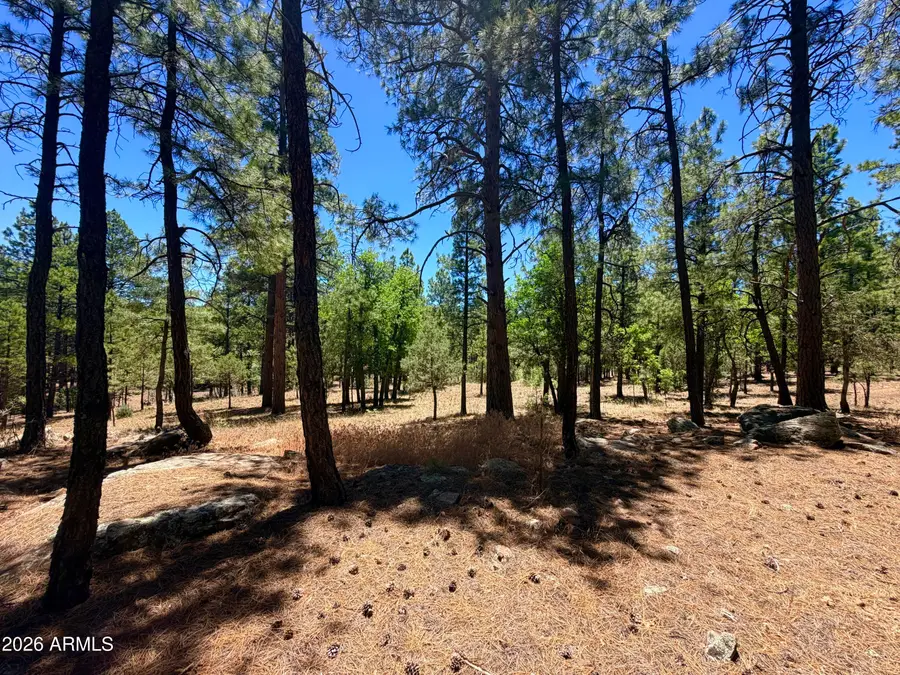 4215 Apache Drive #428, Happy Jack, AZ 86024 - #3