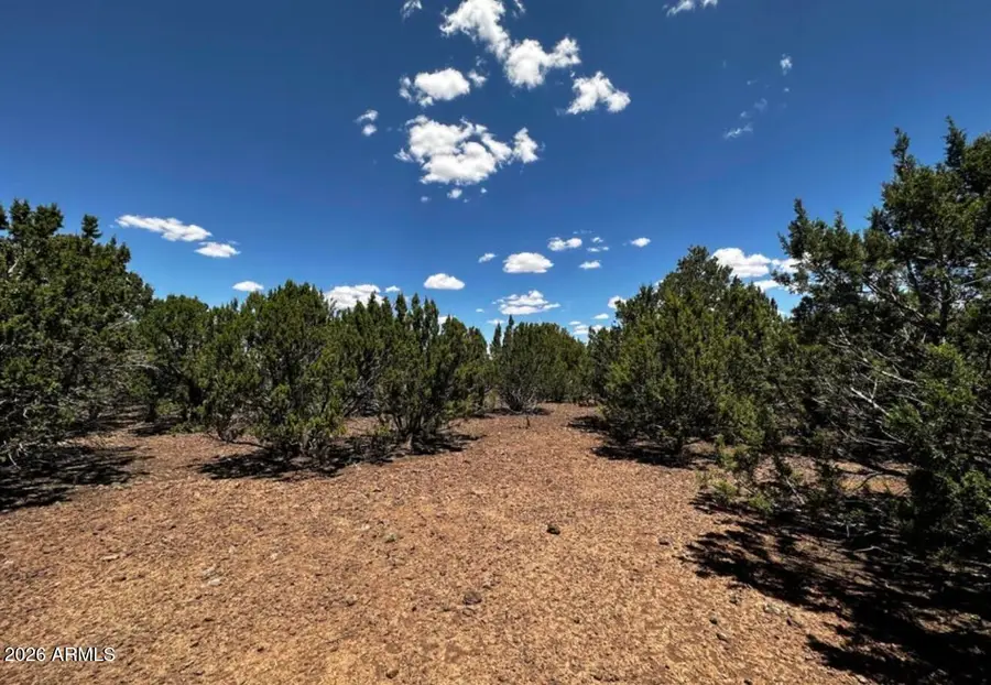 Lot 16 Acr 3028 -- #16, Vernon, AZ 85940 - #2