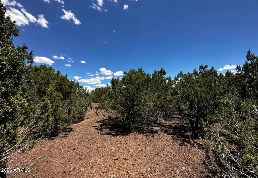 Lot 16 Acr 3028 -- #16, Vernon, AZ 85940 - #3