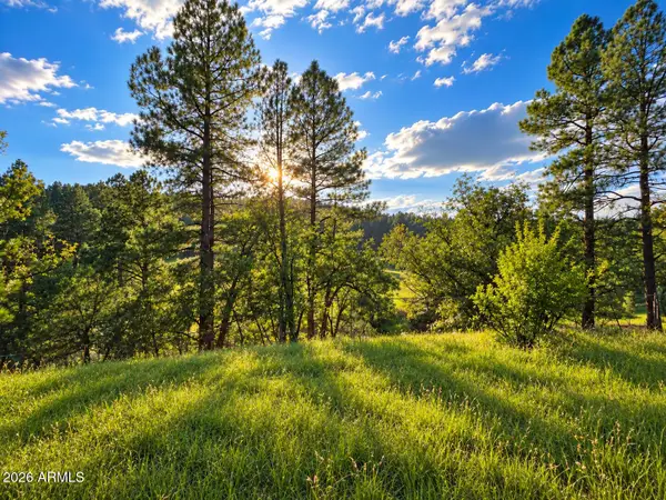 1248 S Running Elk Road, Payson, AZ 85541
