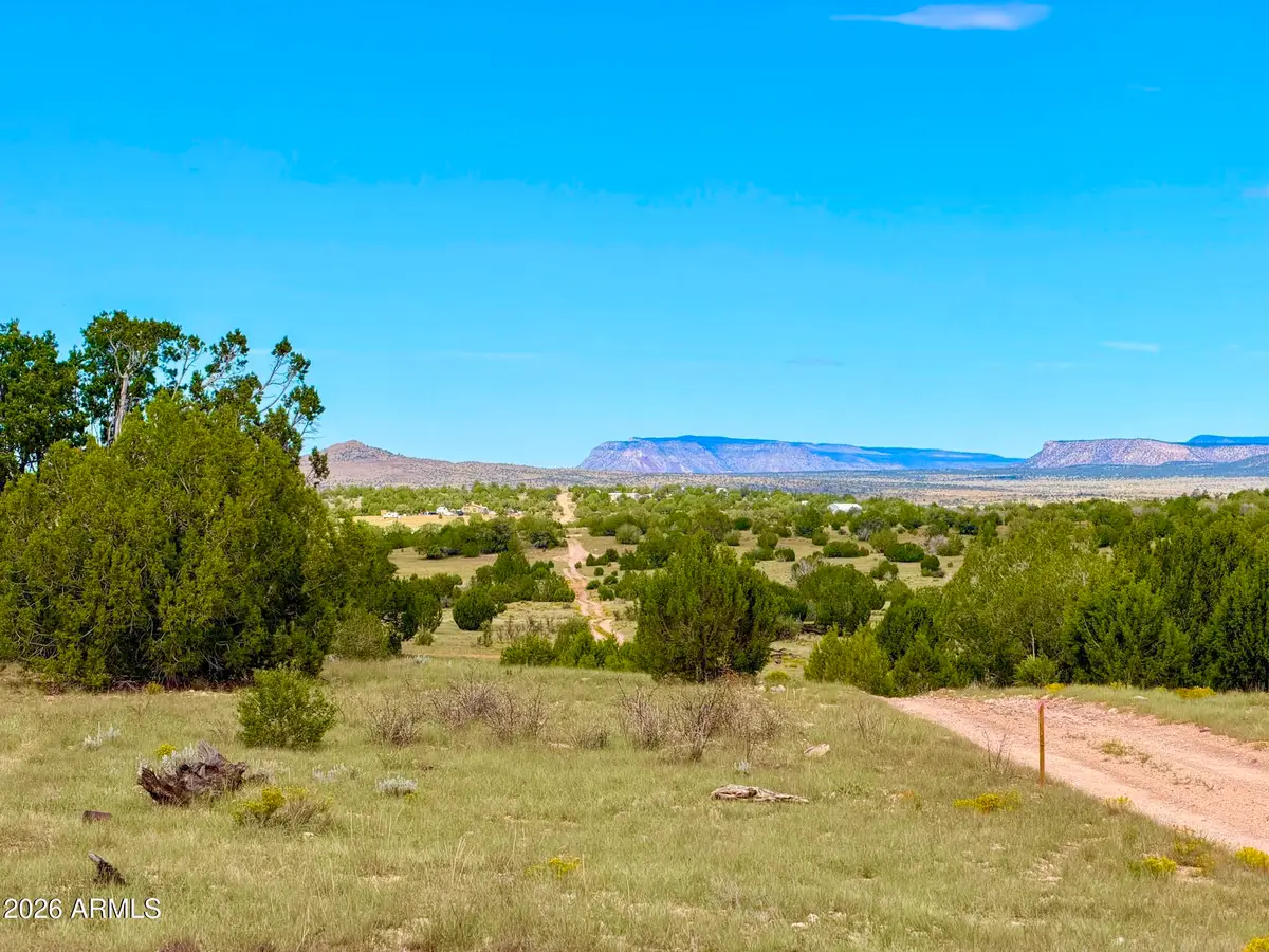 0 Dusty Rose Ranch Lot A 16 Acr --, Seligman, AZ 86337 - #1