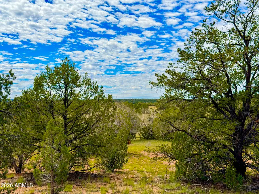 0 Dusty Rose Ranch Lot A 16 Acr --, Seligman, AZ 86337 - #3