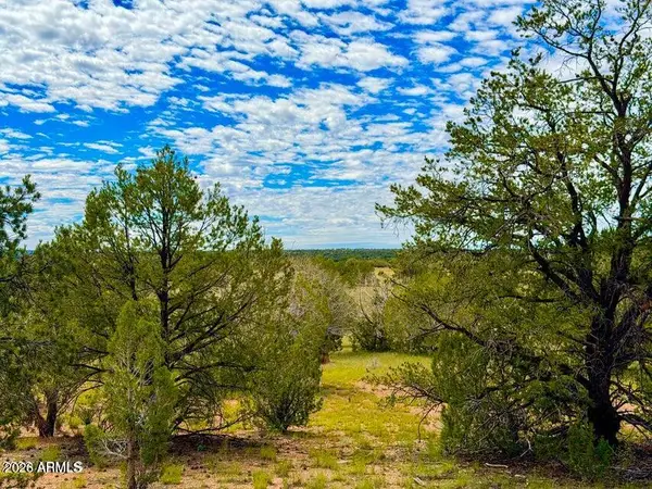 0 Dusty Rose Ranch Lot C 12 Acre --, Seligman, AZ 86337