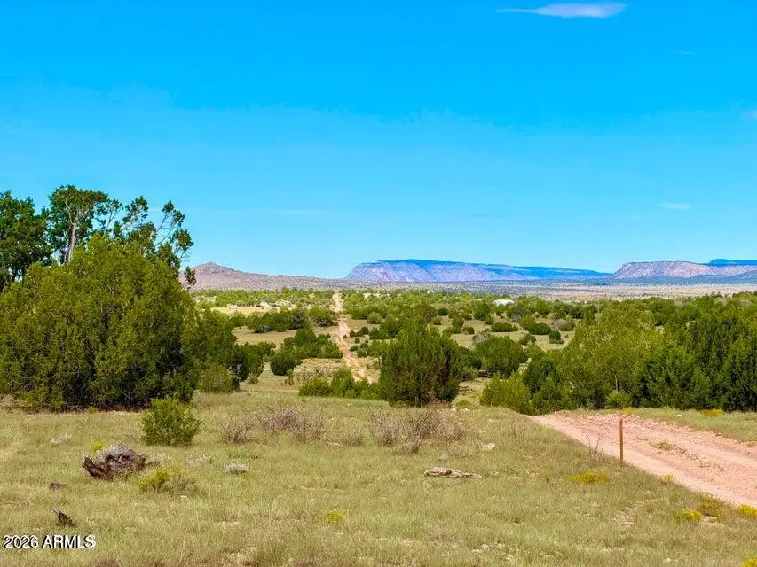 0 Dusty Rose Ranch Lot C 12 Acre --, Seligman, AZ 86337 - #3