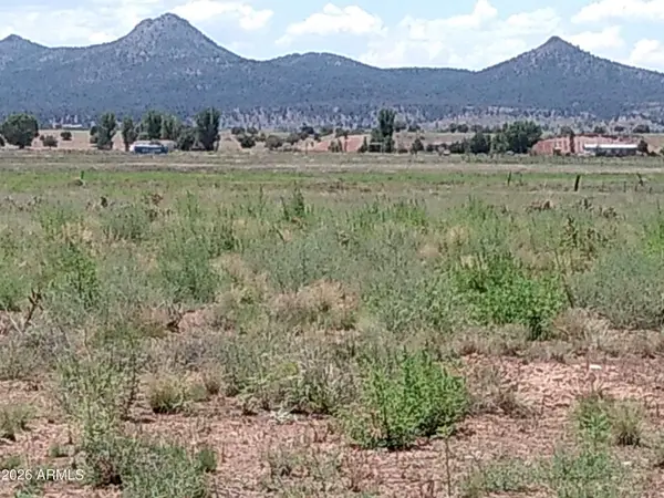 26250 N Champagne Lane, Paulden, AZ 86334