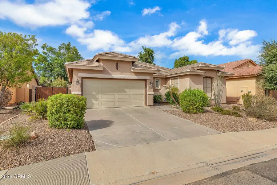 142 W Raven Drive, Chandler, AZ 85286 - #3