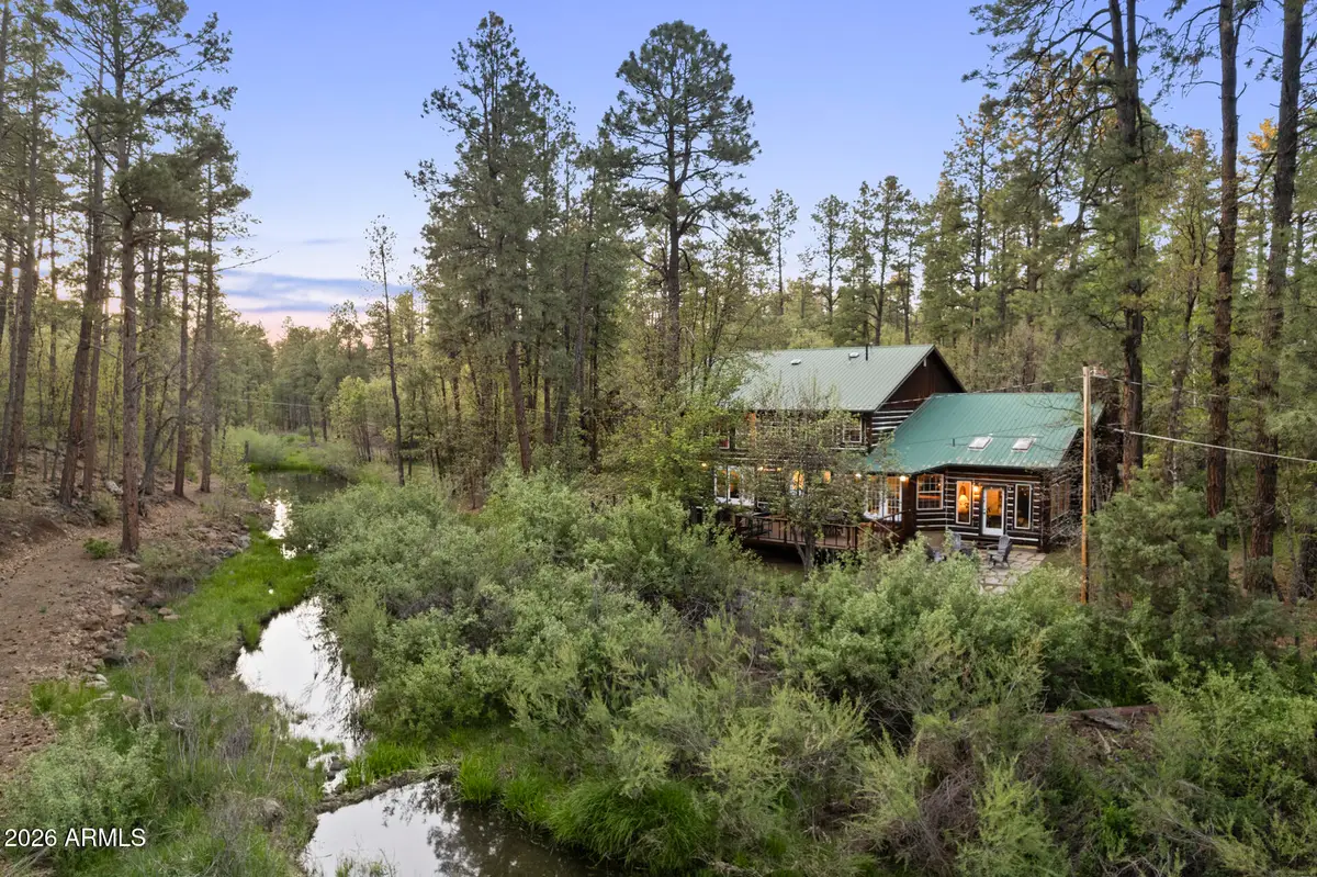 463 W Pine Shadow Drive, Lakeside, AZ 85929 - #1
