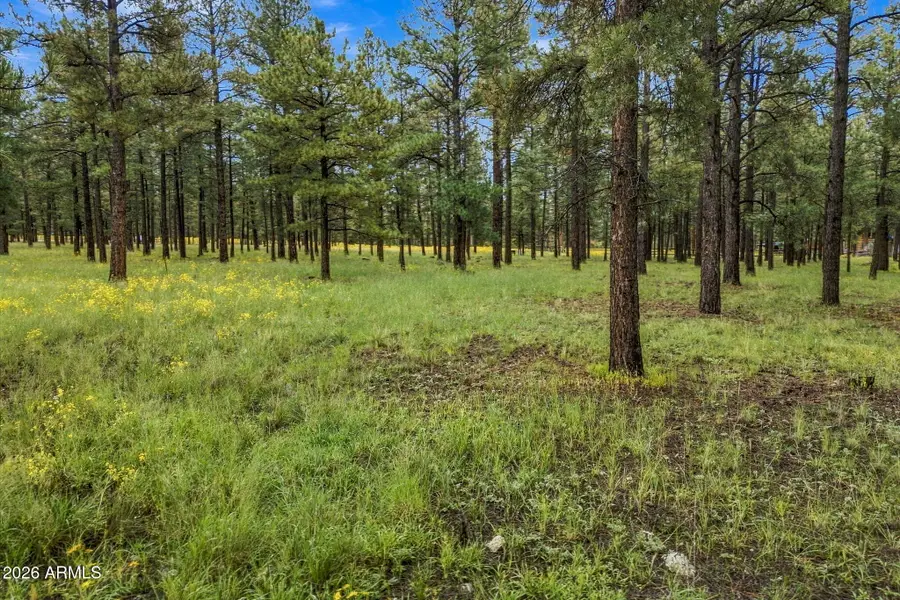 38650 State Route 373 --, Greer, AZ 85927 - #3