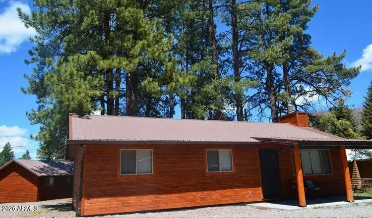 32 1009 Unit 10 (cabin 90) --, Greer, AZ 85927 - #1