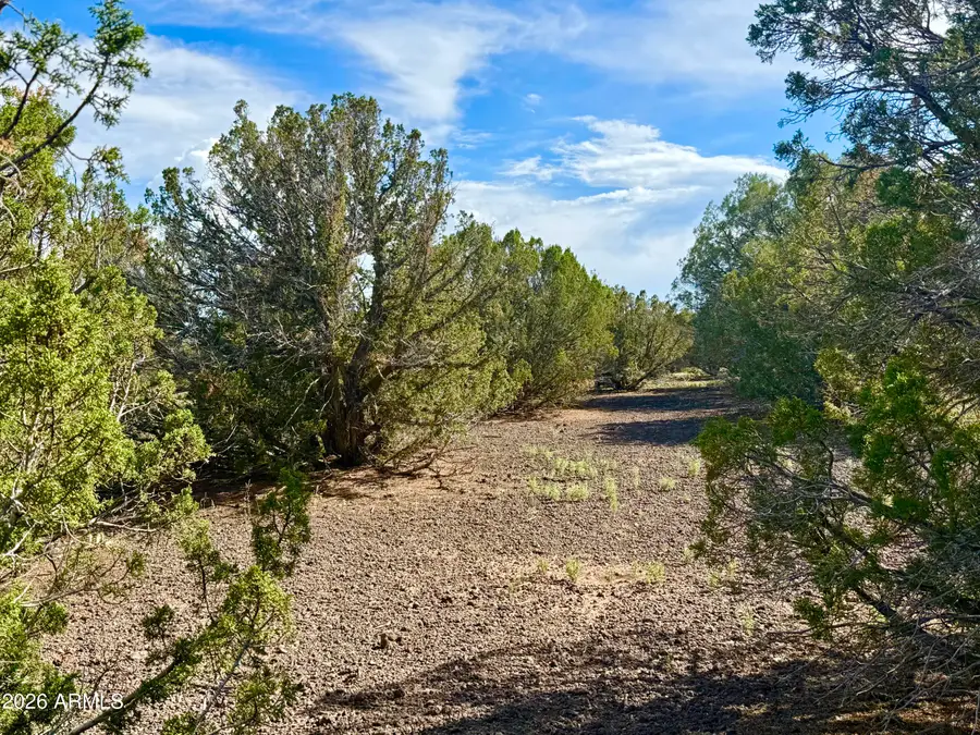 8322 Navajo Drive, Show Low, AZ 85901 - #2