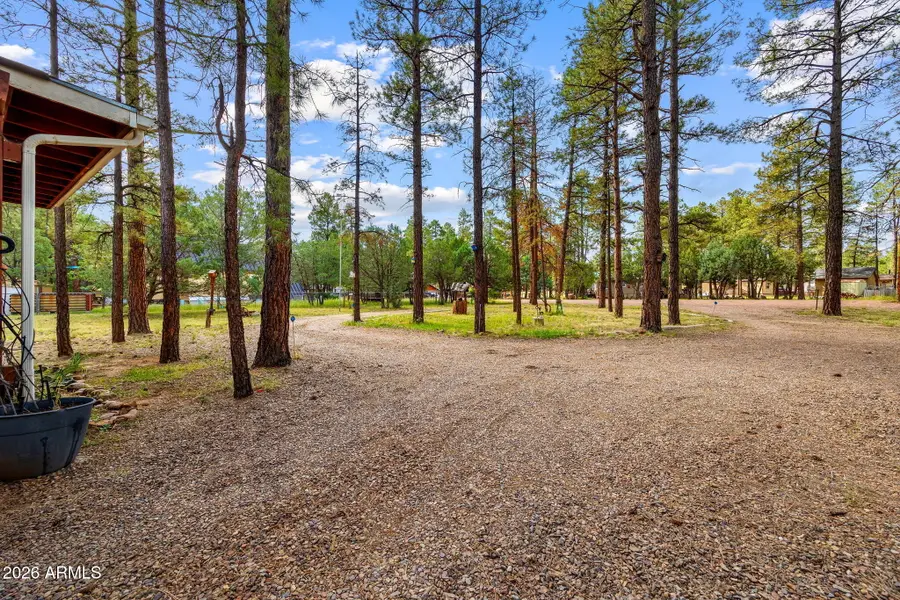 2032 Bald Eagle Court, Overgaard, AZ 85933 - #2