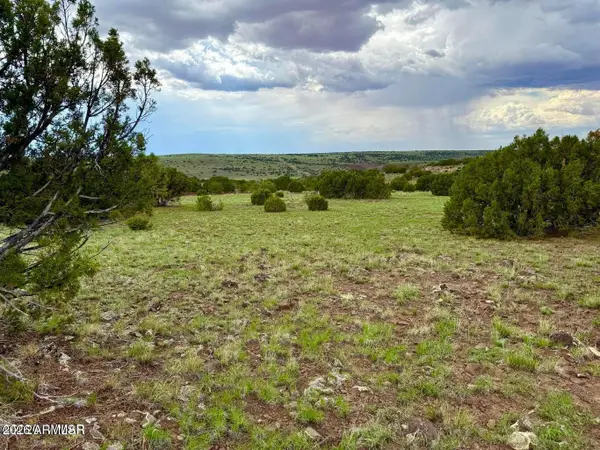 116 Co Rd 8127 --, Concho, AZ 85924
