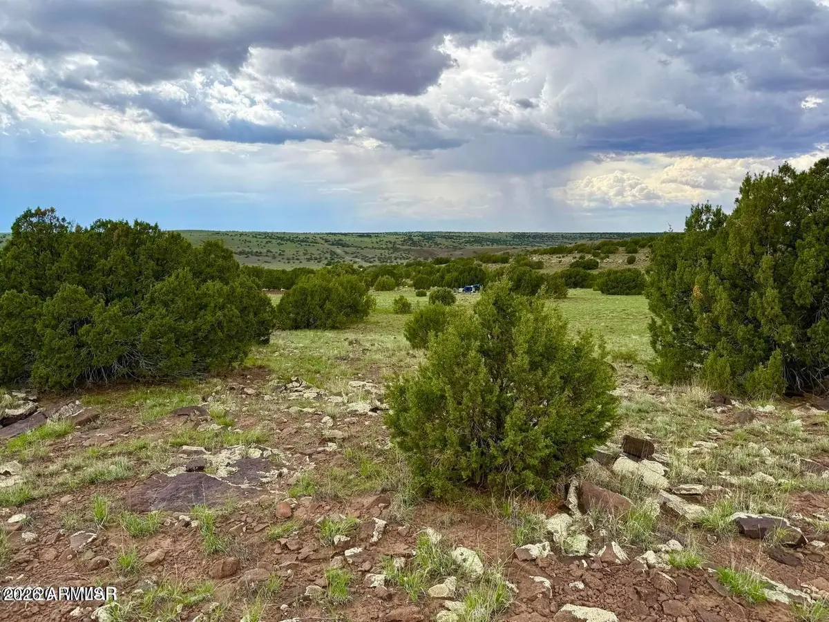 83 Co Rd 8128 --, Concho, AZ 85924 - #1