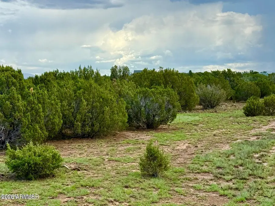 83 Co Rd 8128 --, Concho, AZ 85924 - #2
